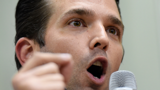 Another Don Jr. Profile Gazes Into the Abyss